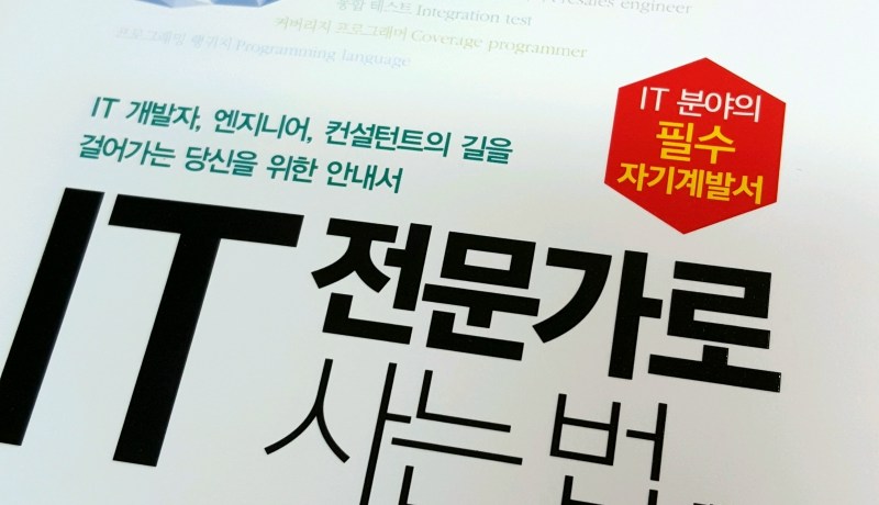 [BOOK] IT 전문가로 사는 법
