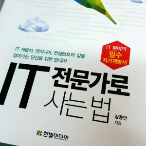 [BOOK] IT 전문가로 사는 법