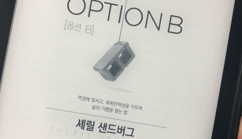 [BOOK] Option B