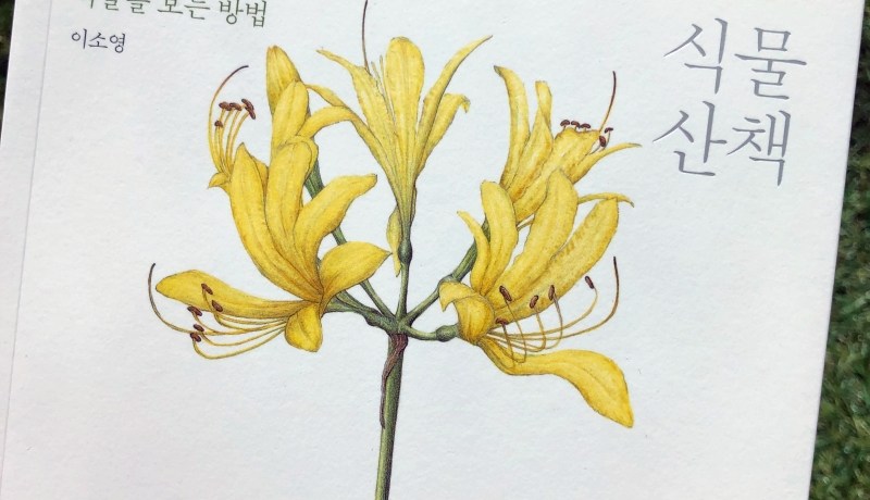 [BOOK] 식물 산책