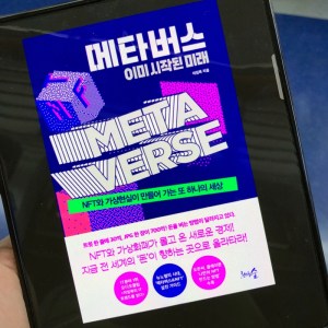 [BOOK] 메타버스, 이미 시작된 미래