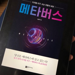 [BOOK] 메타버스