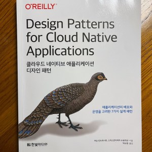 [BOOK] Design Patterns for Cloud Native Applications